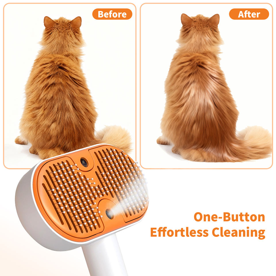 Supplier comparison showing a ginger cat before and after brushing